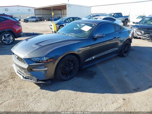 2019 FORD MUSTANG 1FA6P8TH7K5194902 Photo 1