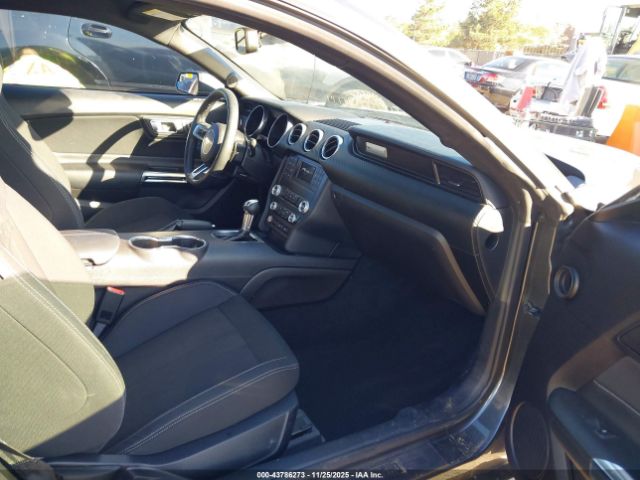 2019 FORD MUSTANG 1FA6P8TH7K5194902 Photo 4