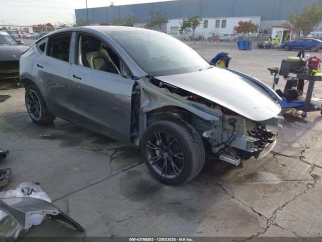 2024 TESLA MODEL Y 7SAYGDEE4RF165691