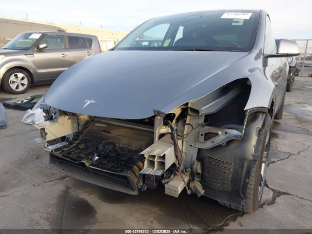 2024 TESLA MODEL Y 7SAYGDEE4RF165691 Photo 5