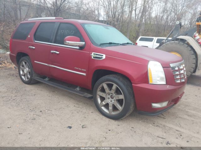 2010 CADILLAC ESCALADE HYBRID 1GYUKEEJ5AR243238 Photo 0
