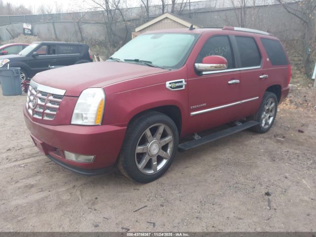 2010 CADILLAC ESCALADE HYBRID 1GYUKEEJ5AR243238 Photo 1