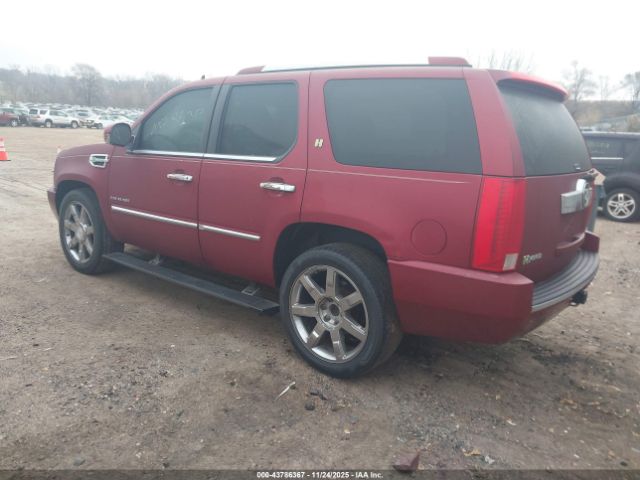2010 CADILLAC ESCALADE HYBRID 1GYUKEEJ5AR243238 Photo 2