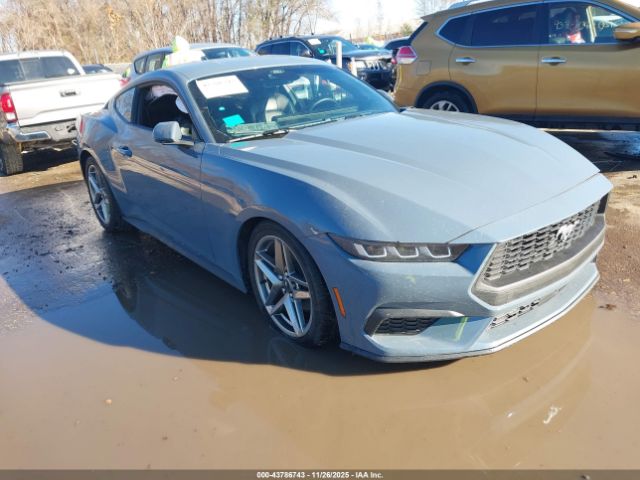 2024 FORD MUSTANG 1FA6P8TH5R5145725