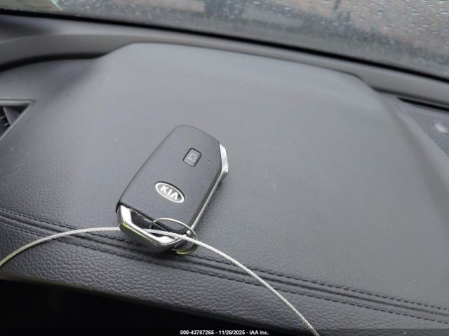 2021 KIA TELLURIDE 5XYP6DHC4MG100170 Photo 10