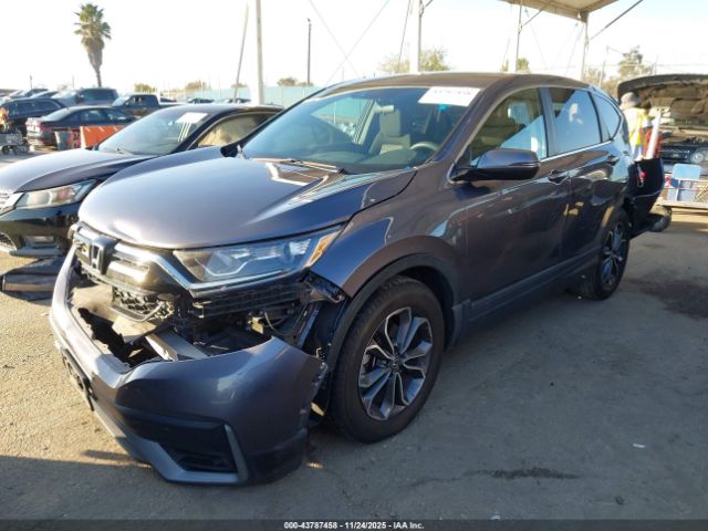 2022 HONDA CR-V 7FARW1H57NE017919 Photo 1