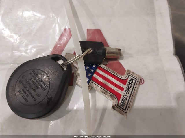 2015 HARLEY-DAVIDSON FLTRX 1HD1KHM16FB654383 Photo 10