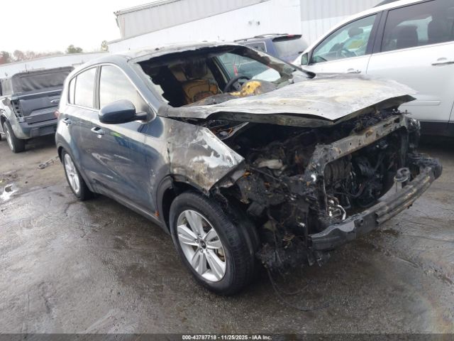 2017 KIA SPORTAGE KNDPM3AC2H7235547