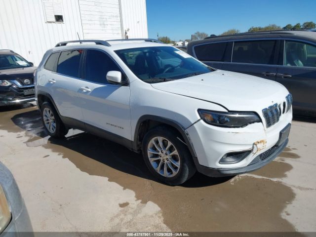 2019 JEEP CHEROKEE 1C4PJLCB2KD307501
