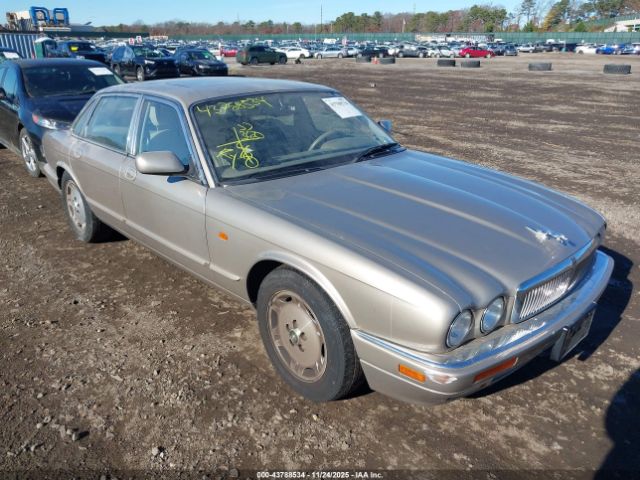 1982 JAGUAR XJ6 SAJH1740SC724383