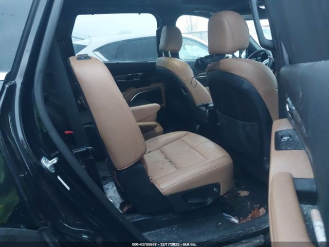2021 KIA TELLURIDE 5XYP5DHCXMG119194 Photo 7