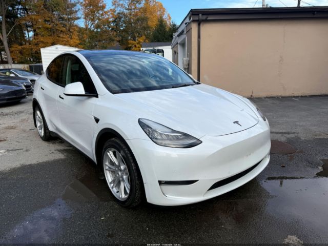 2021 TESLA MODEL Y 5YJYGDEE5MF295078 Photo 0