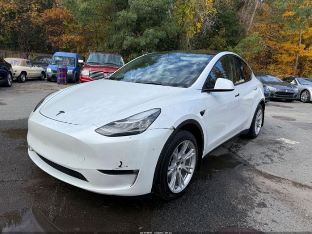 2021 TESLA MODEL Y 5YJYGDEE5MF295078 Photo 1