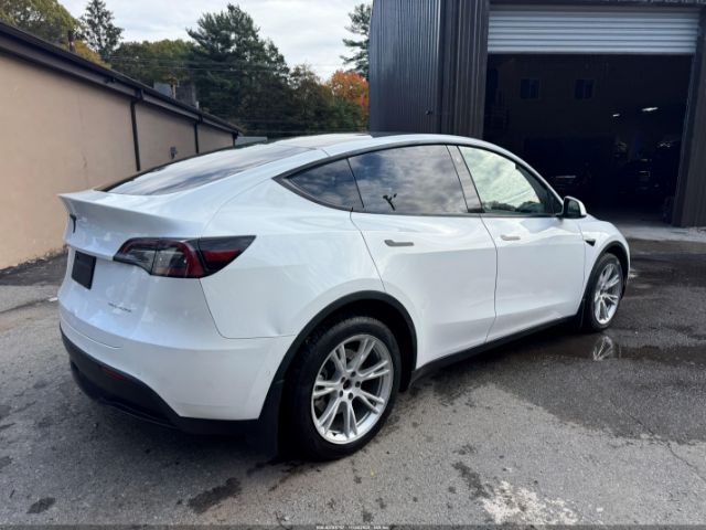 2021 TESLA MODEL Y 5YJYGDEE5MF295078 Photo 3