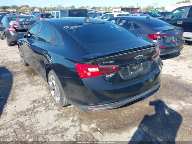 2019 CHEVROLET MALIBU 1G1ZG5ST9KF196794 Photo 2