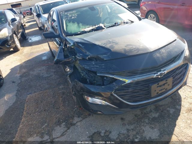 2019 CHEVROLET MALIBU 1G1ZG5ST9KF196794 Photo 5