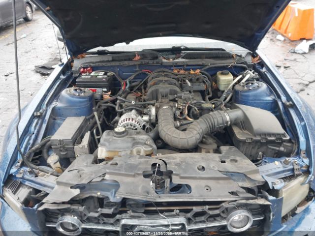 2007 FORD MUSTANG 1ZVFT84N675242842 Photo 9