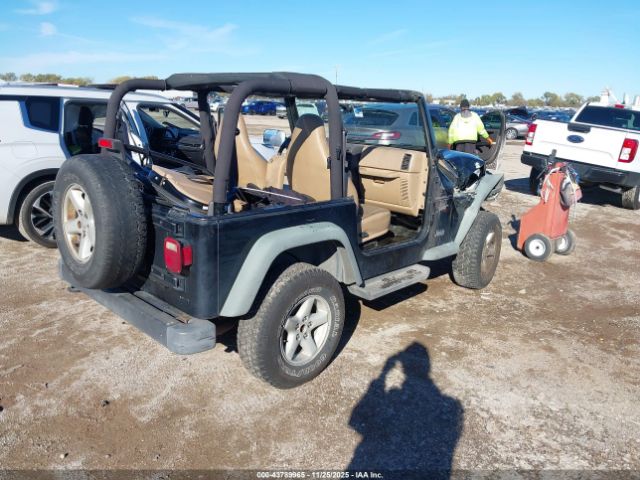 2002 JEEP WRANGLER 1J4FA49S82P764816 Photo 3