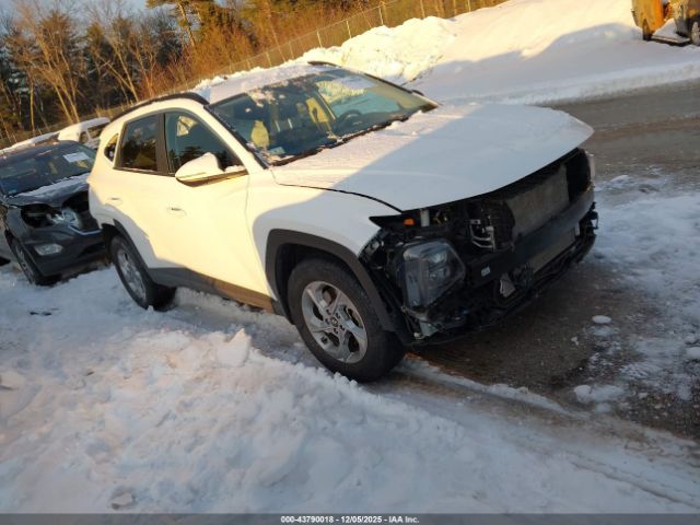 2023 HYUNDAI TUCSON 5NMJBCAE0PH211557