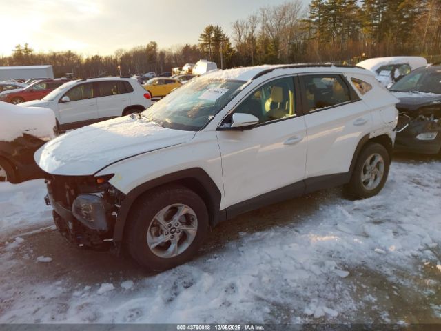 2023 HYUNDAI TUCSON 5NMJBCAE0PH211557 Photo 1