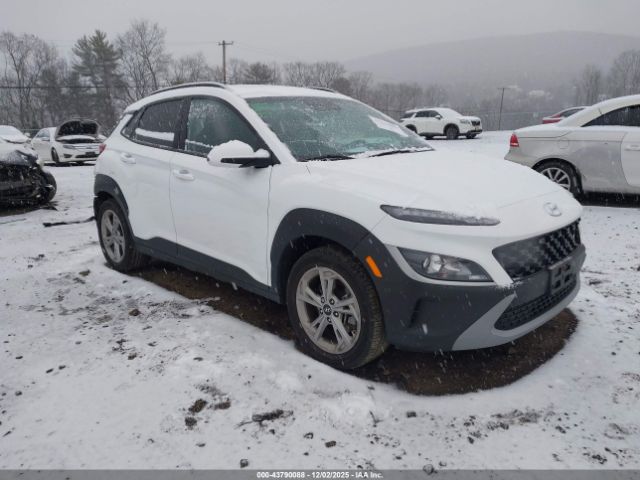 2023 HYUNDAI KONA KM8K3CAB0PU969104