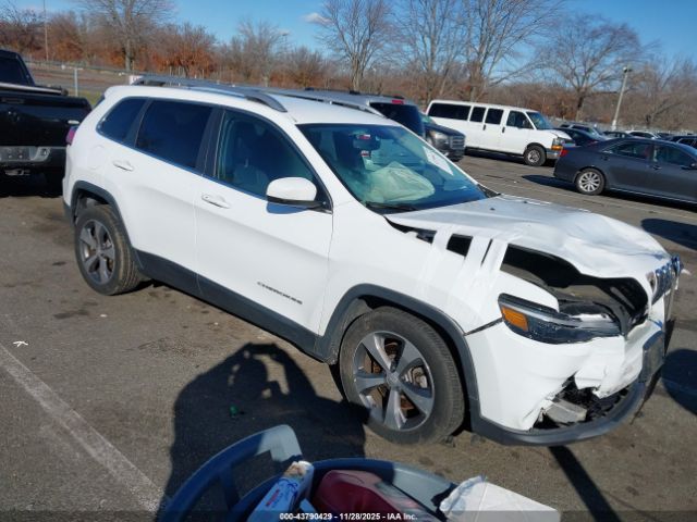 2019 JEEP CHEROKEE 1C4PJLDB5KD183965