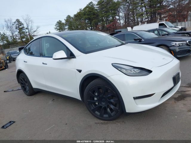 2021 TESLA MODEL Y 5YJYGDEE1MF182261