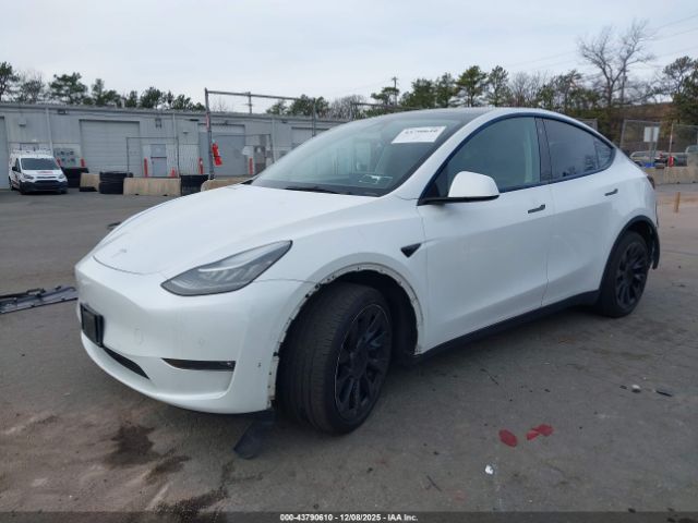 2021 TESLA MODEL Y 5YJYGDEE1MF182261 Photo 1