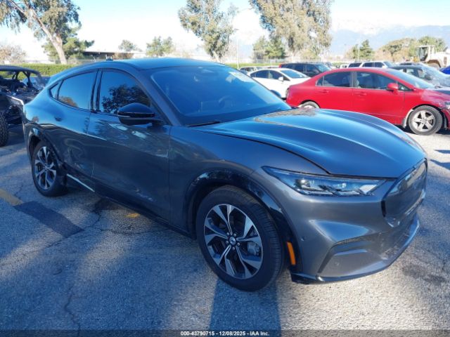 2023 FORD MUSTANG MACH-E 3FMTK3SU0PMA04254