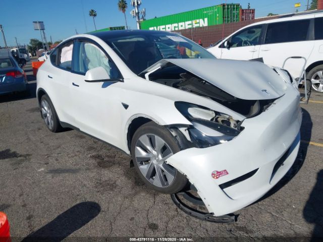 2024 TESLA MODEL Y 7SAYGDEE9RF090860