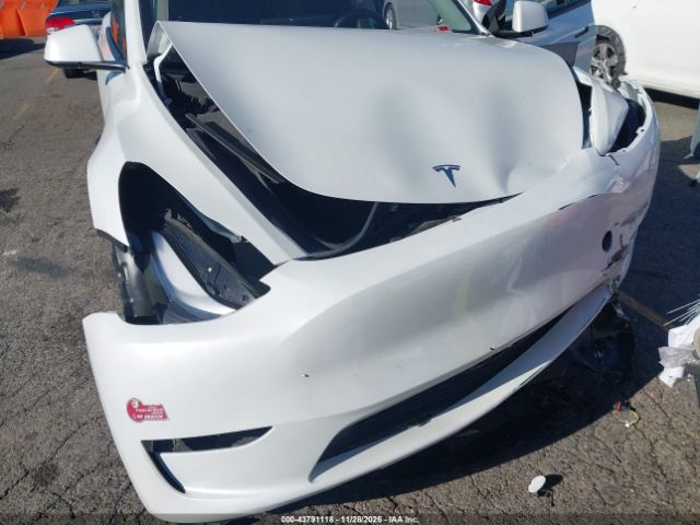 2024 TESLA MODEL Y 7SAYGDEE9RF090860 Photo 5