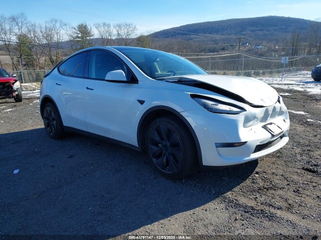 2024 TESLA MODEL Y 7SAYGDEE3RF185141 Photo 0