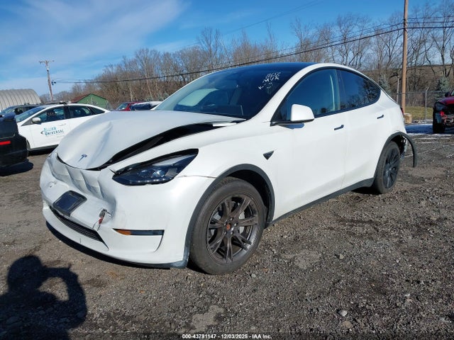 2024 TESLA MODEL Y 7SAYGDEE3RF185141 Photo 1