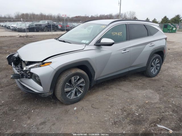 2022 HYUNDAI TUCSON HYBRID KM8JBCA19NU024820 Photo 1