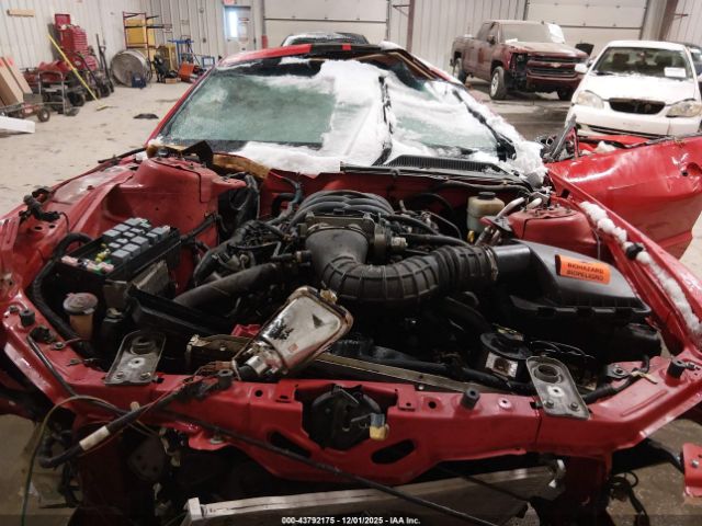 2006 FORD MUSTANG 1ZVFT82H765198877 Photo 9