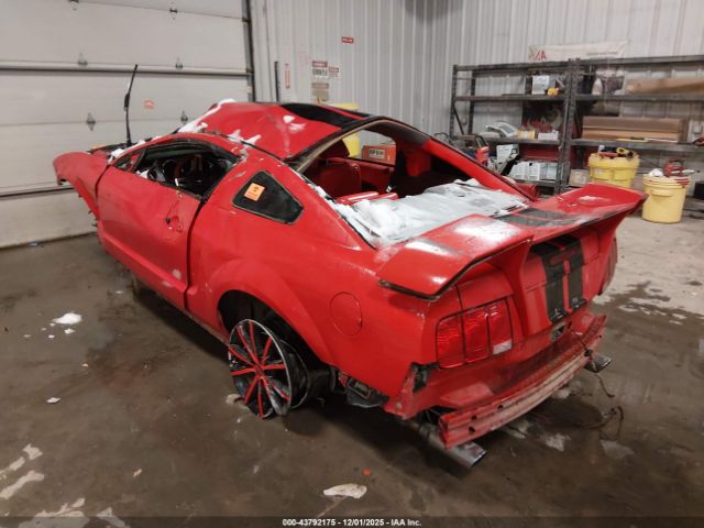 2006 FORD MUSTANG 1ZVFT82H765198877 Photo 2