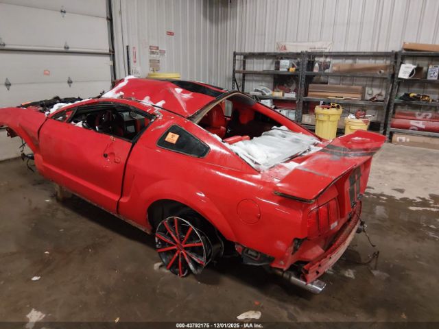 2006 FORD MUSTANG 1ZVFT82H765198877 Photo 5