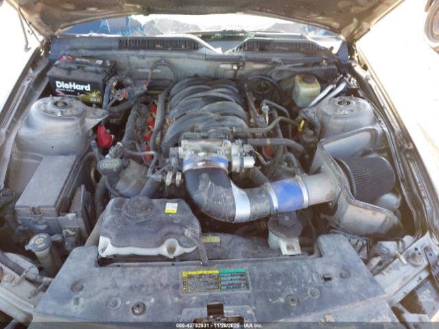 2005 FORD MUSTANG 1ZVHT82H255200705 Photo 9