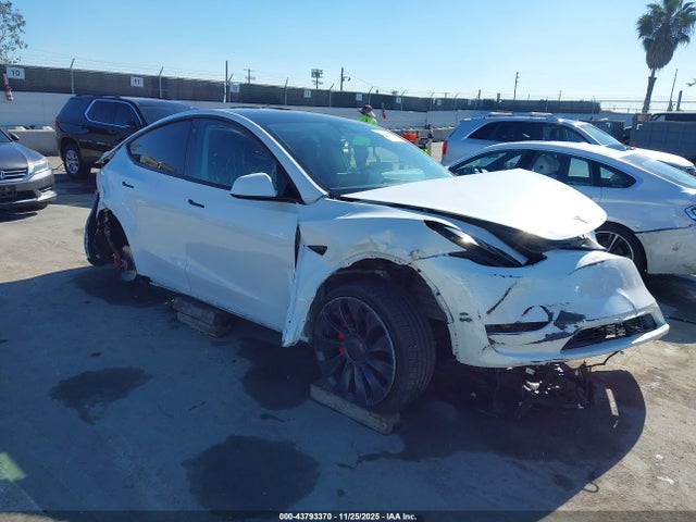 2023 TESLA MODEL Y 7SAYGDEF9PF682703 Photo 0