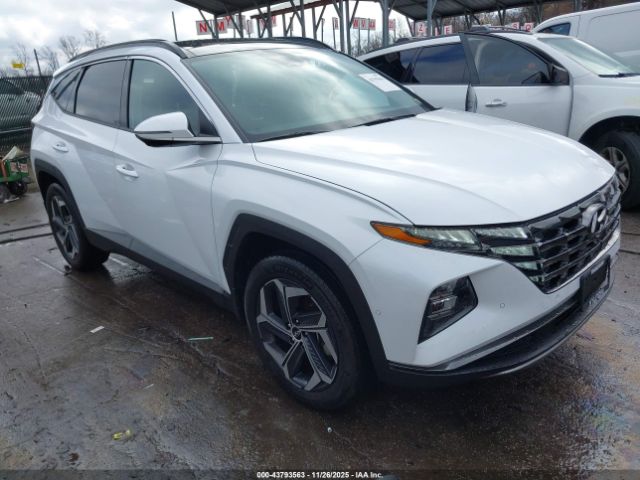 2024 HYUNDAI TUCSON HYBRID KM8JECD11RU219514
