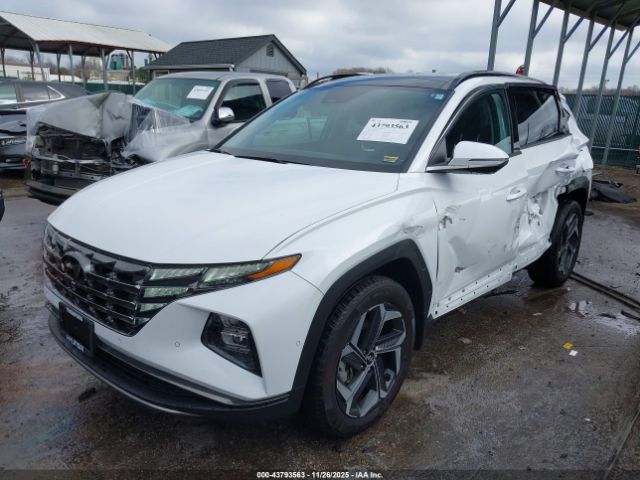 2024 HYUNDAI TUCSON HYBRID KM8JECD11RU219514 Photo 1