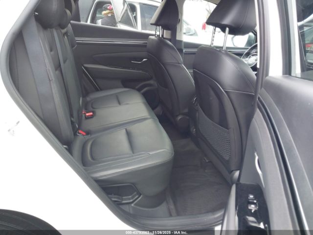 2024 HYUNDAI TUCSON HYBRID KM8JECD11RU219514 Photo 7