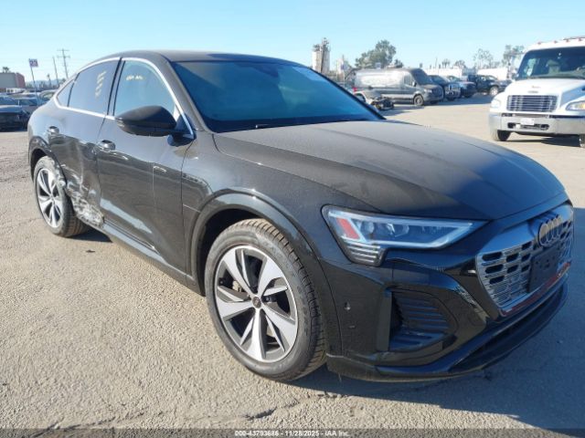 2024 AUDI Q8 E-TRON WA1CAAGE7RB033493