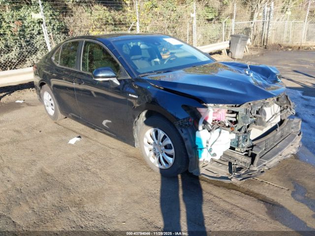 2019 TOYOTA CAMRY HYBRID 4T1B31HK5KU509925