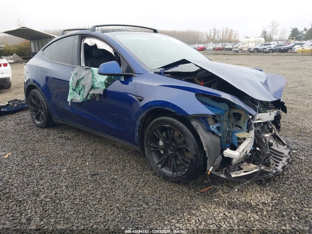 2021 TESLA MODEL Y 5YJYGAEE5MF196159 Photo 0