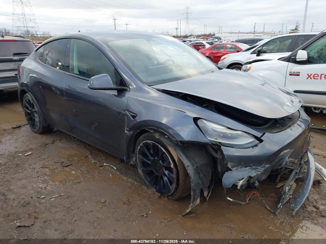 2023 TESLA MODEL Y 7SAYGDEE3PF708588 Photo 0