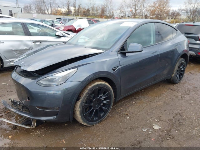 2023 TESLA MODEL Y 7SAYGDEE3PF708588 Photo 1
