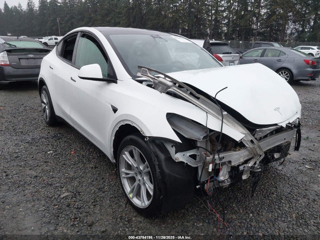 2023 TESLA MODEL Y 7SAYGDEE7PF684988 Photo 0