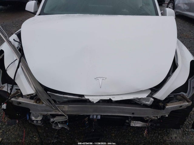 2023 TESLA MODEL Y 7SAYGDEE7PF684988 Photo 9