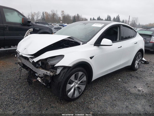 2023 TESLA MODEL Y 7SAYGDEE7PF684988 Photo 1